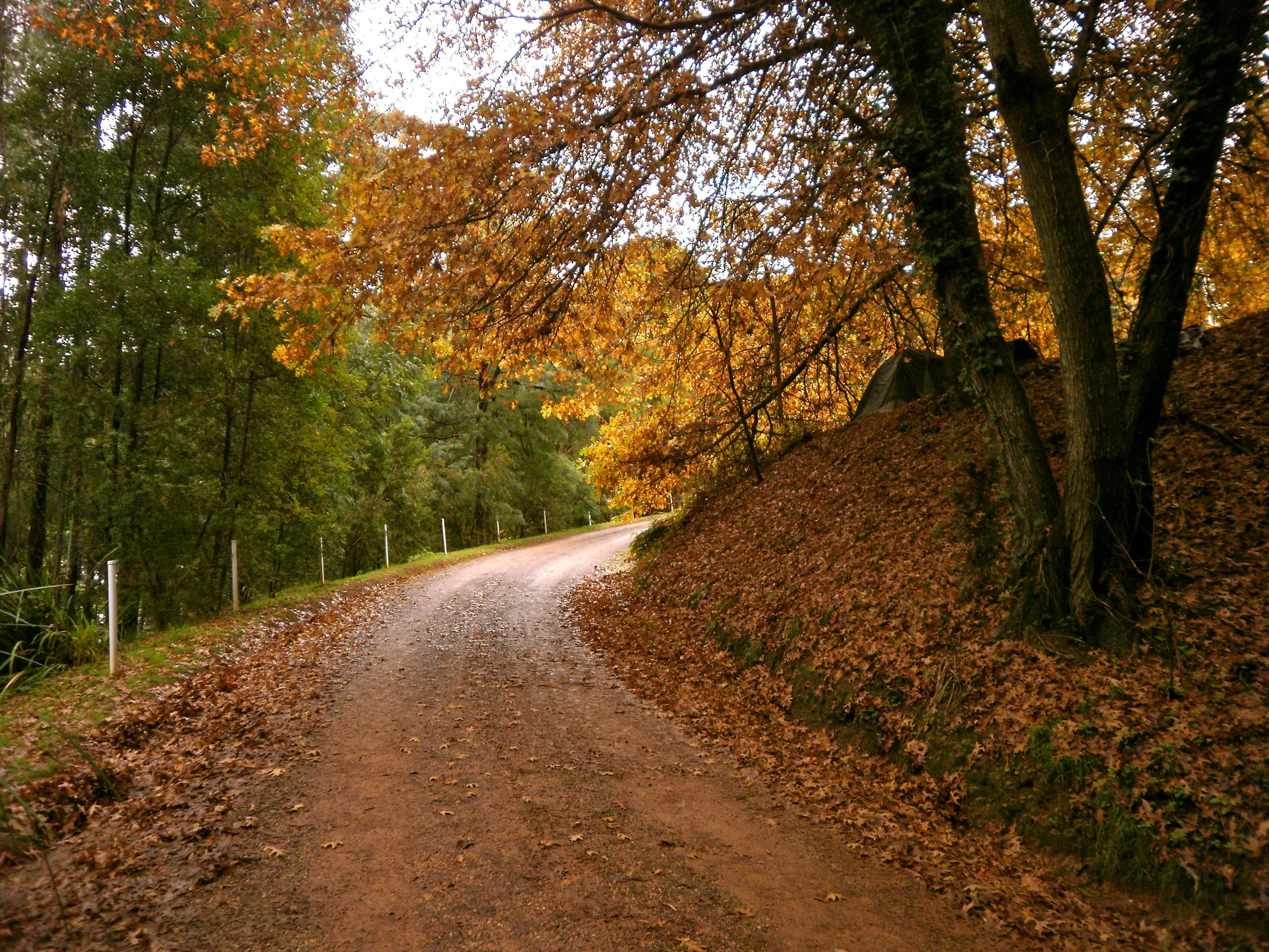 5 Week Beginners Course