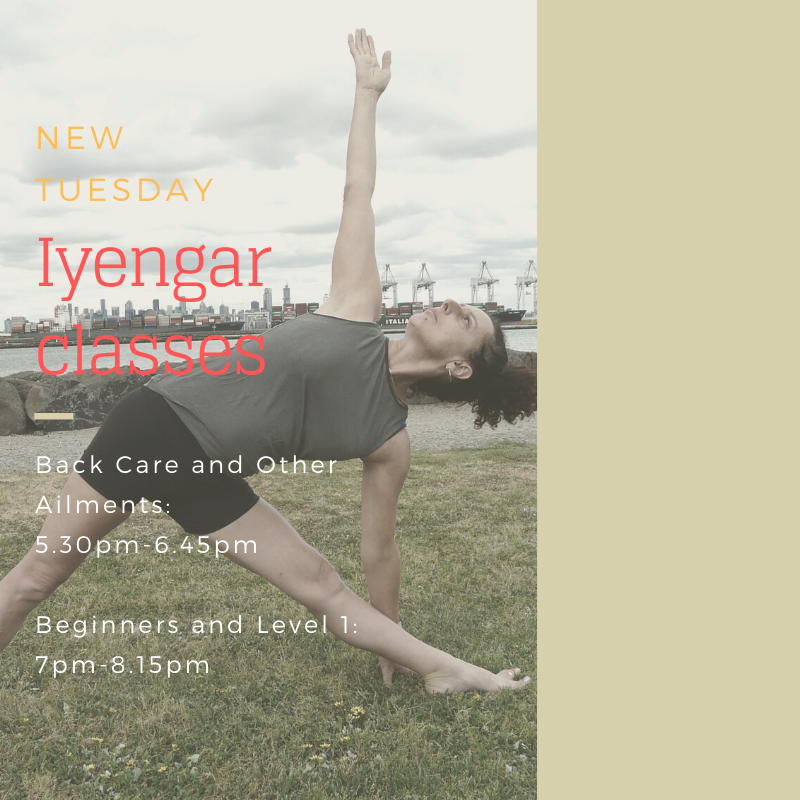 New Iyengar classes with Vanessa Shribman