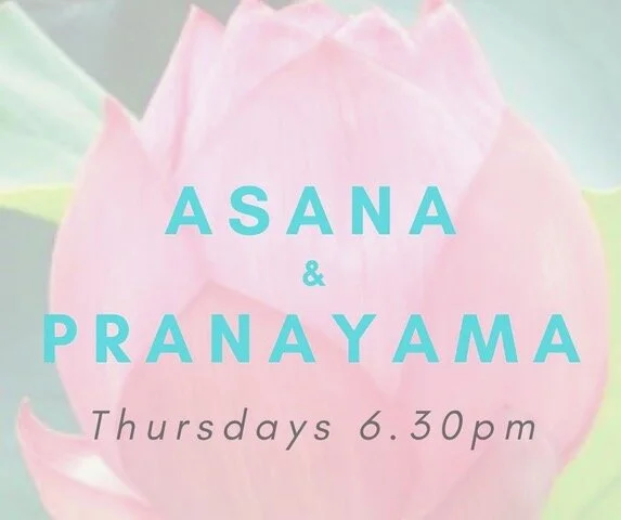 ONLINE Yoga with Katie