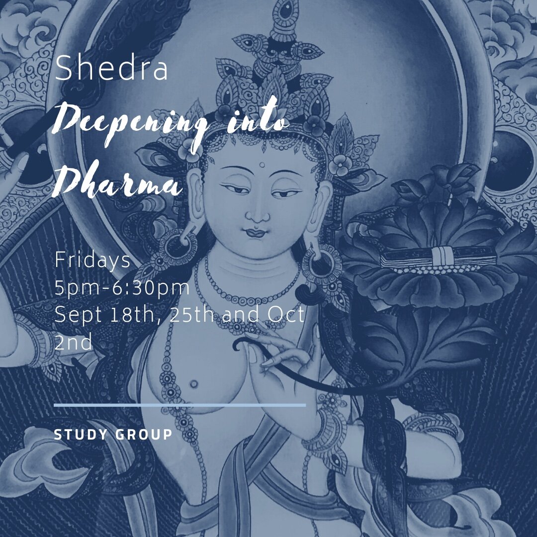The Shedra - Dependent Arising