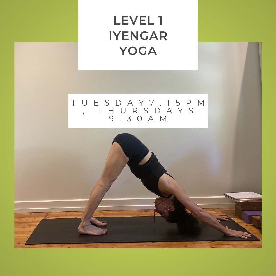 Level 1 Iyengar Yoga - Tuesdays and Thursdays with Vanessa