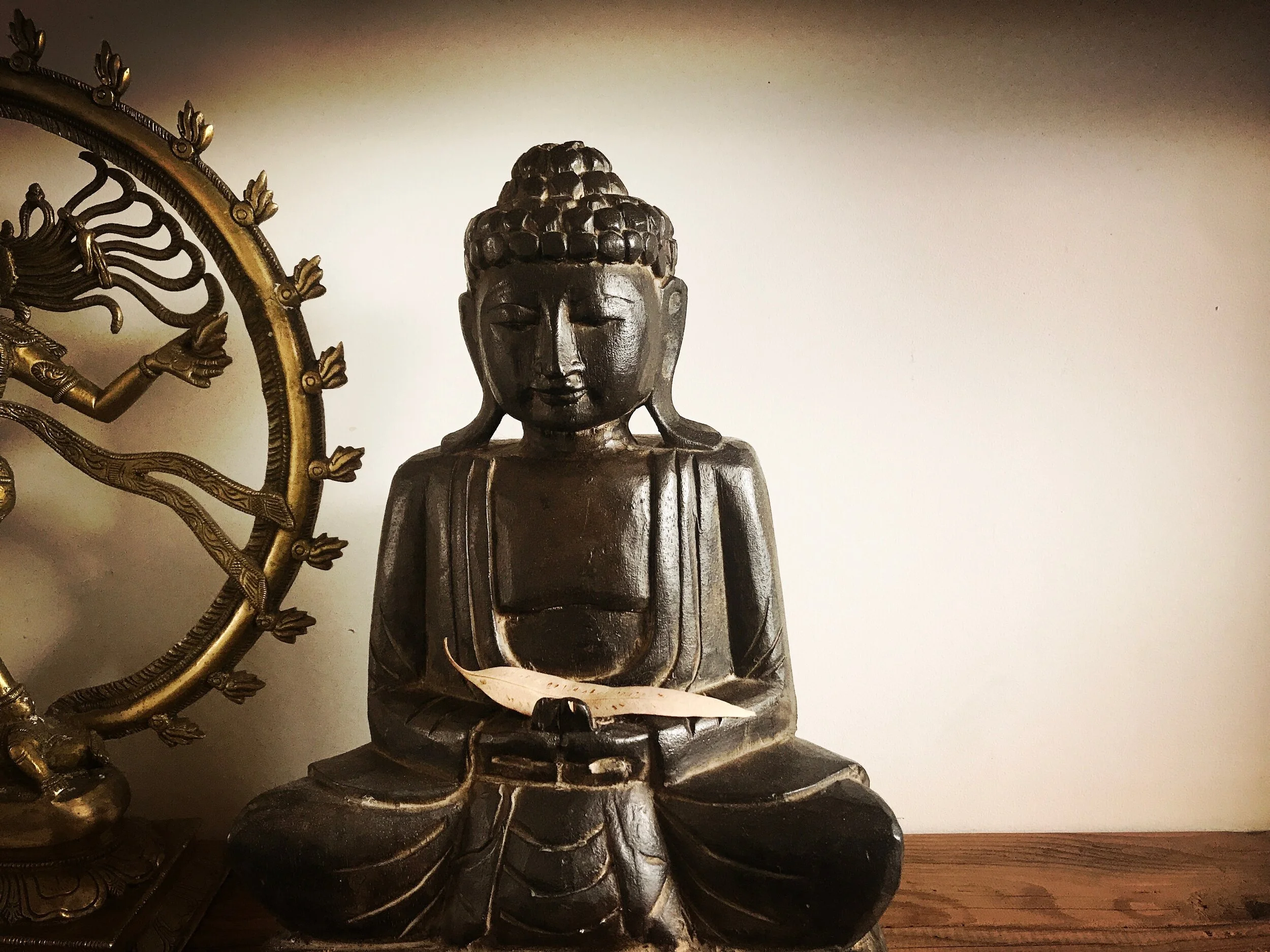 LOCKDOWN ZOOM CLASSES 