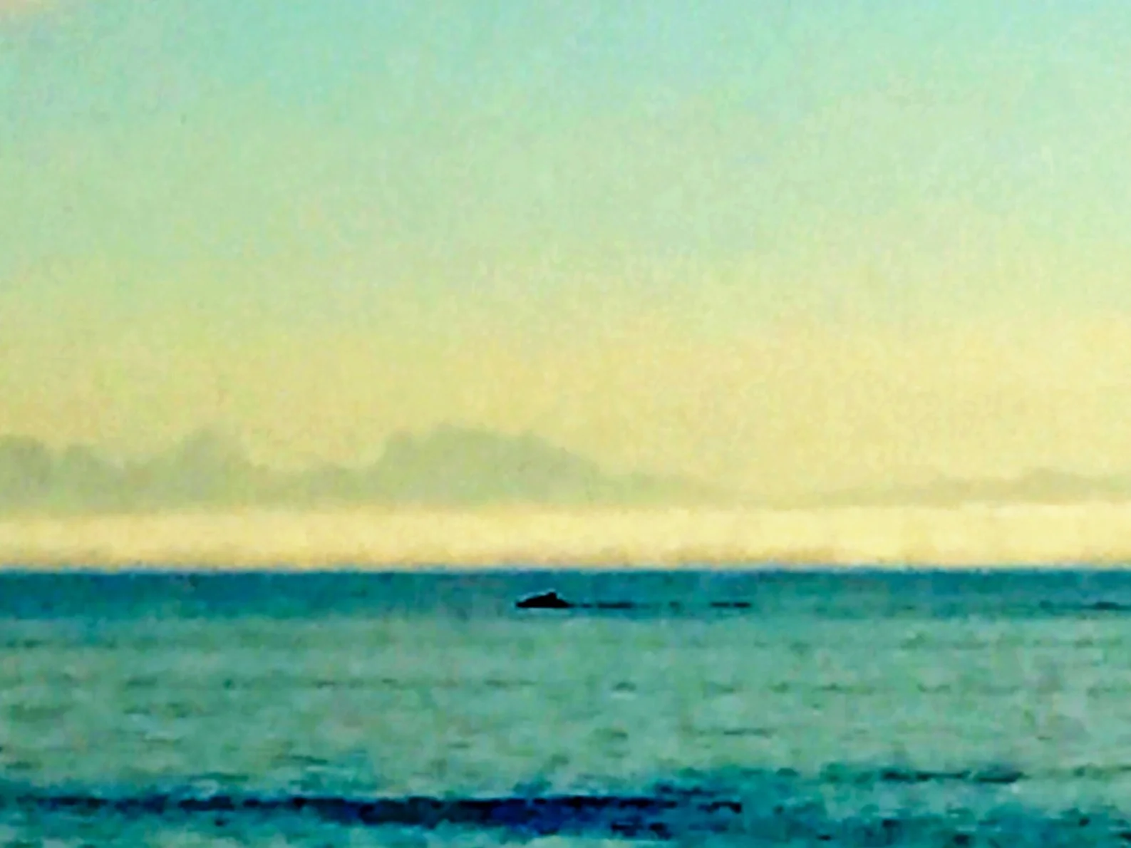 Back To The Basics...