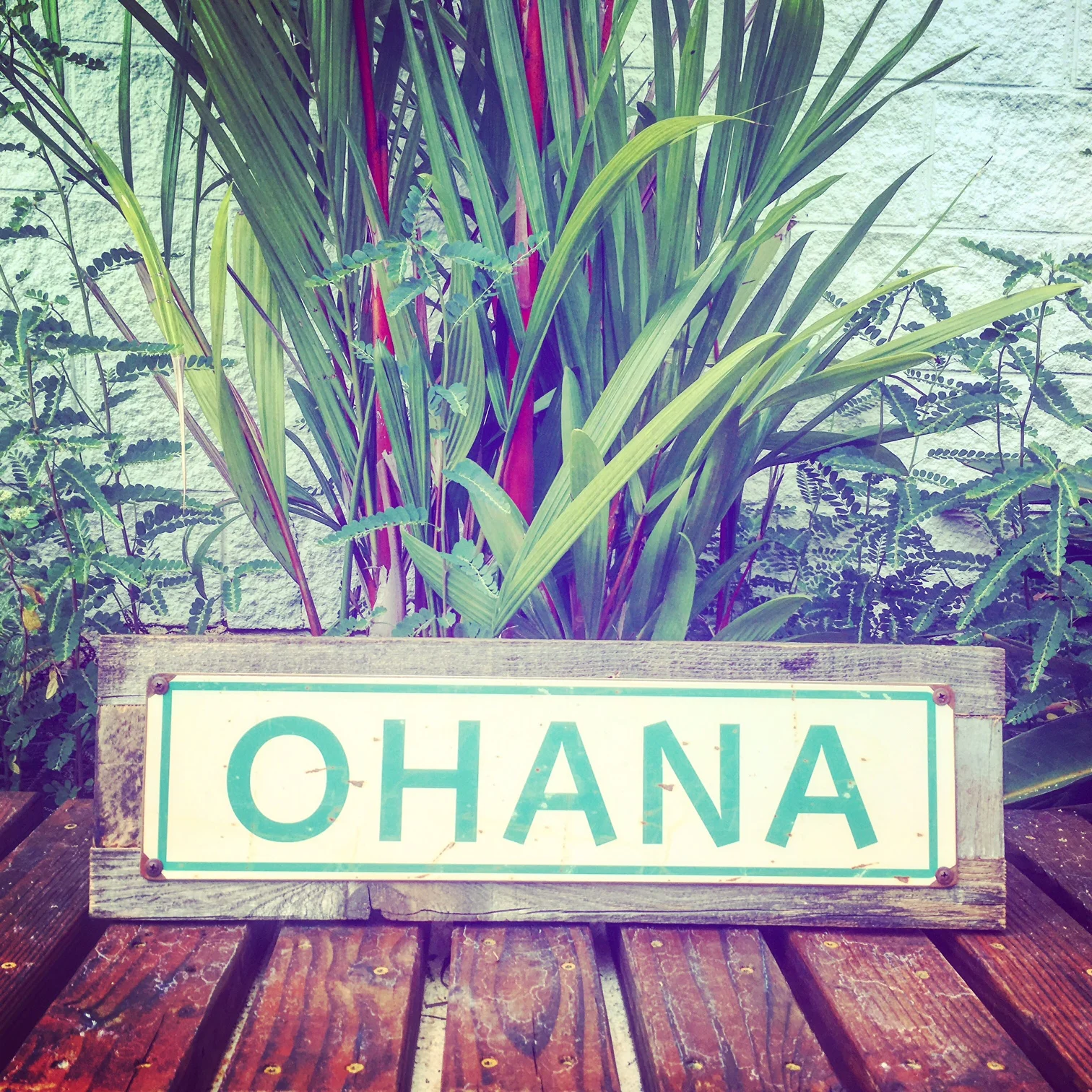 Aloha. Ohana. Mahalo