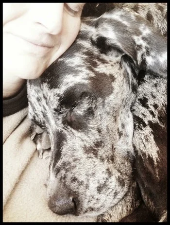 The Dark Side of Gratitude