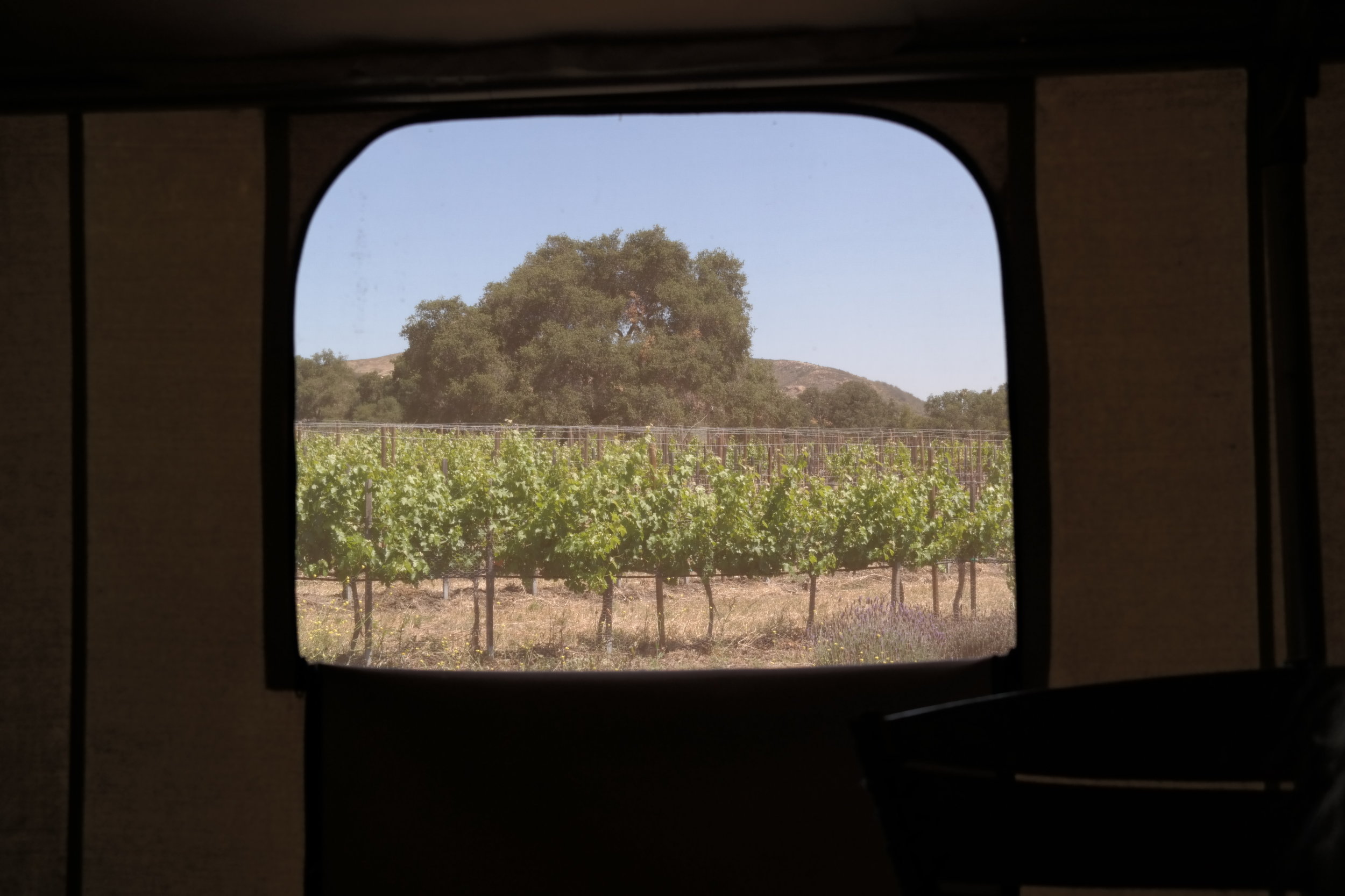 Vineyard Views 