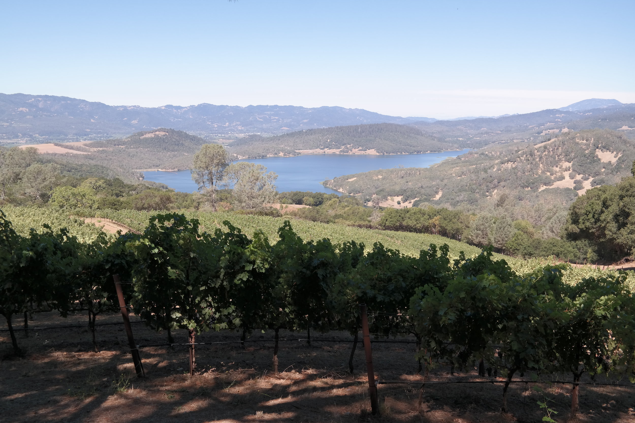 Forbidden Views of Napa's Lake Hennessey