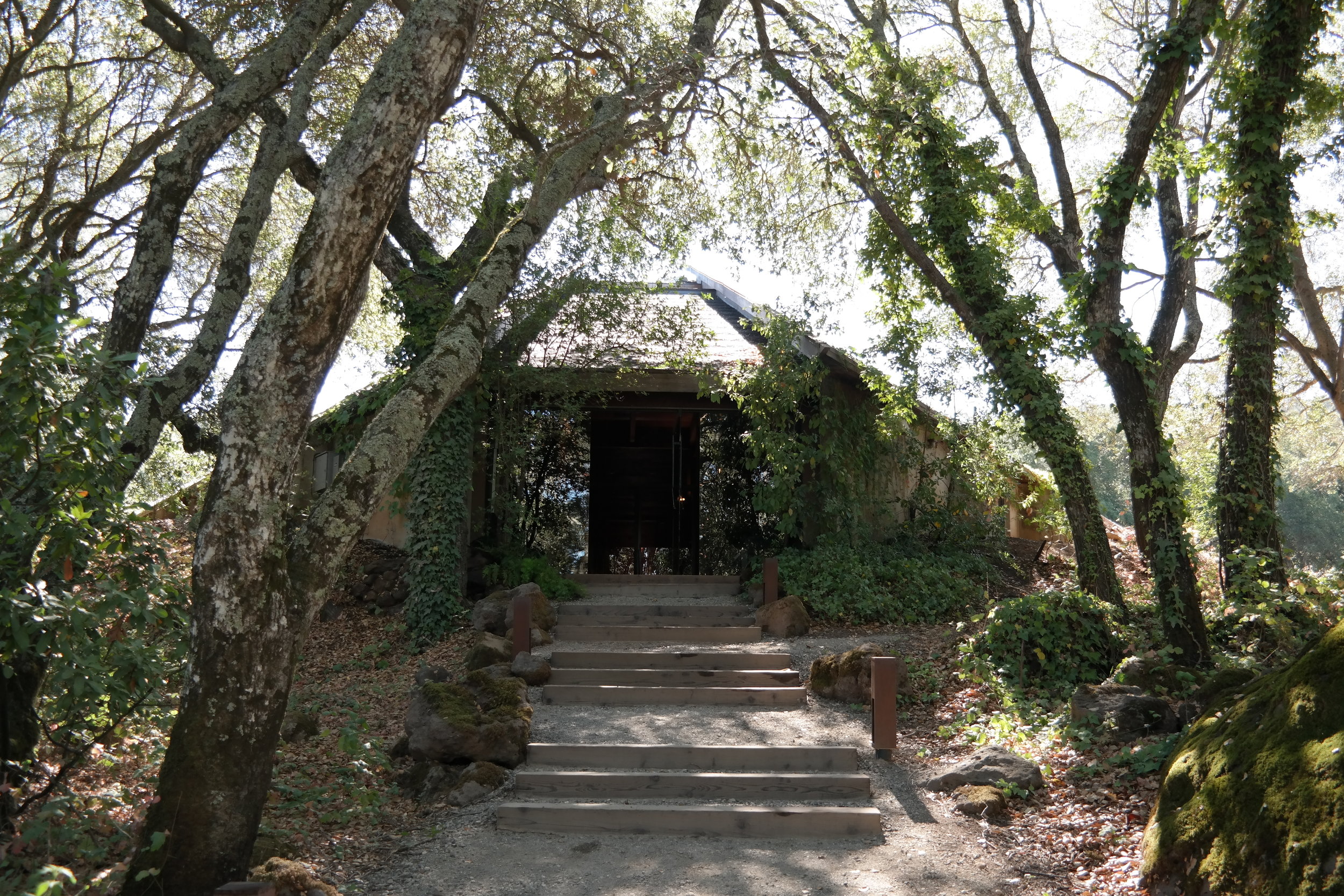 Chappellet Winery 