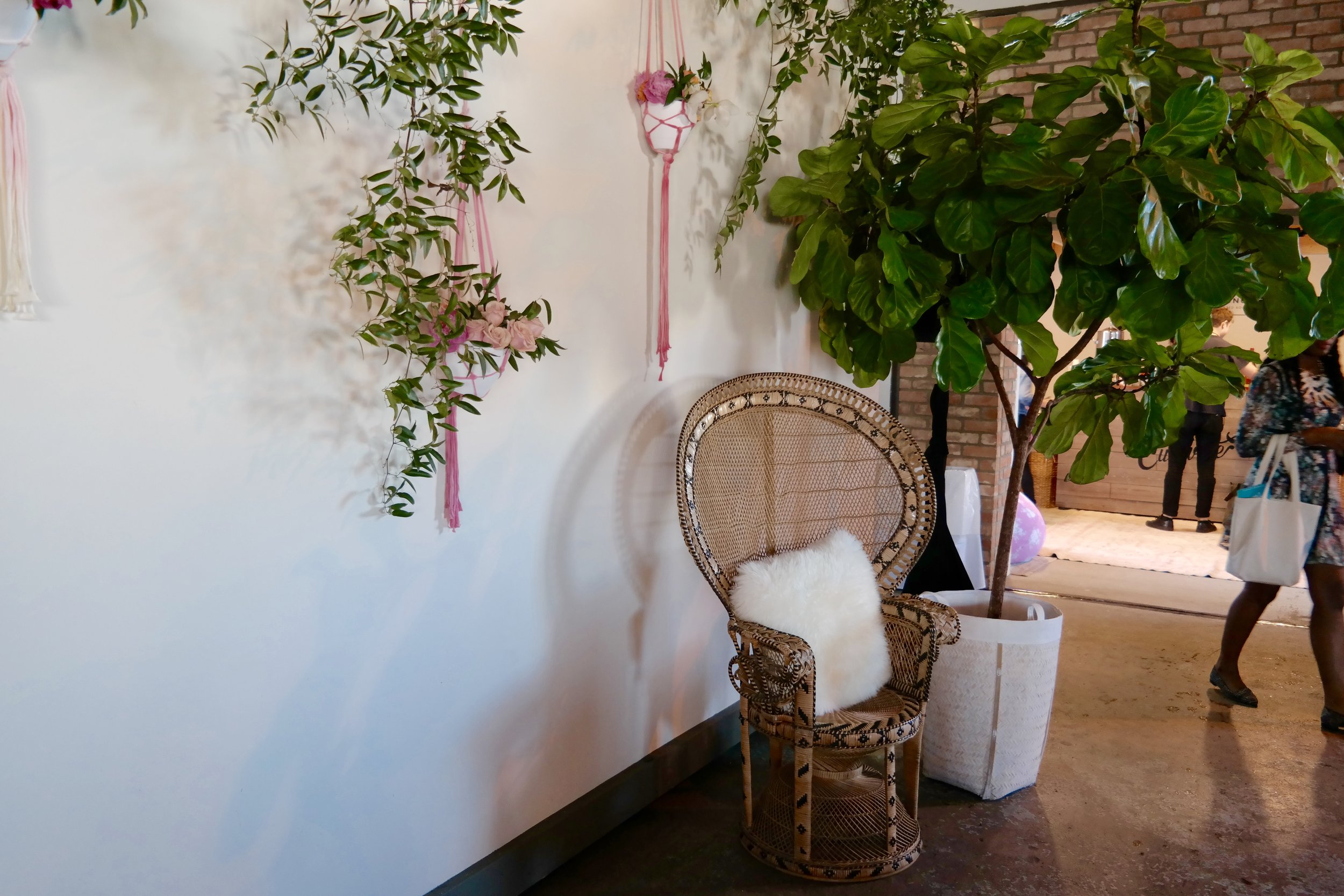 That fiddle leaf fig and peacock chair are calling my name. Home decor lusts and loves from Create and Cultivate Dallas
