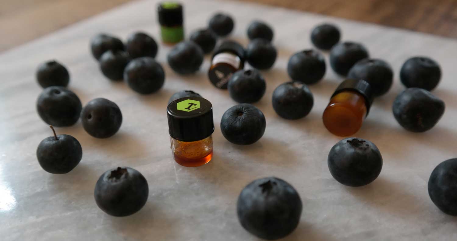 A dash of EvoLab's ZenBerry FreshTerps adds a hint of earthiness to this refreshing cocktail.