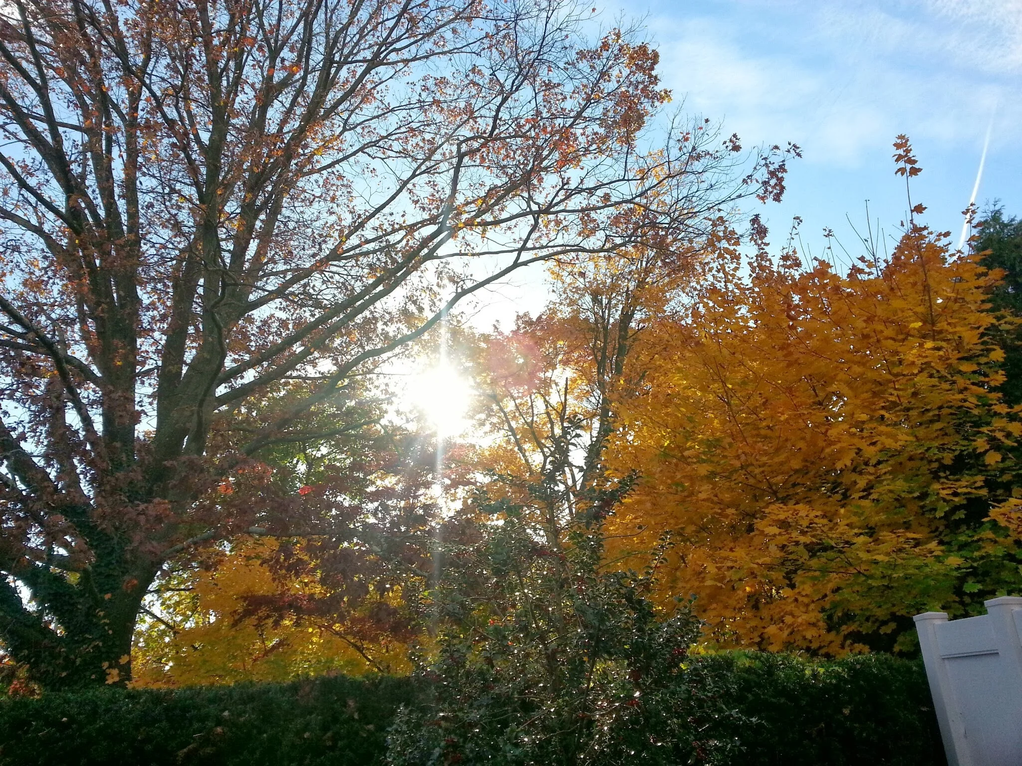 20131106_143005.jpg