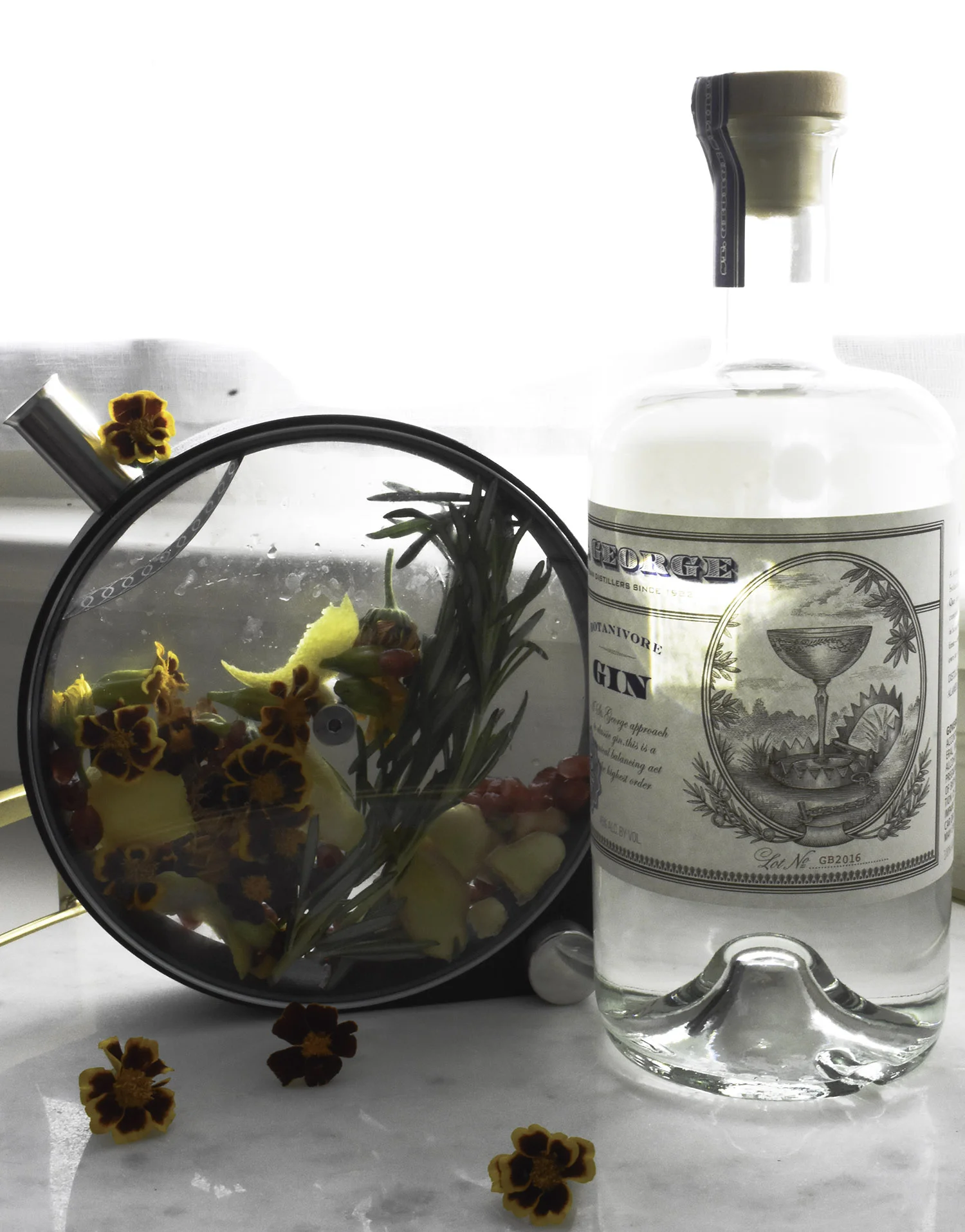 gin1.jpg