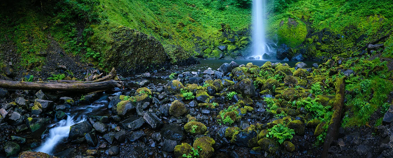 DSC_8460-Pano webresize.jpg