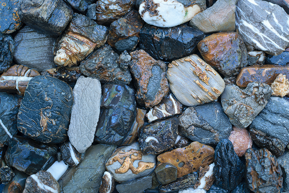 DSC_7021 webresize.jpg