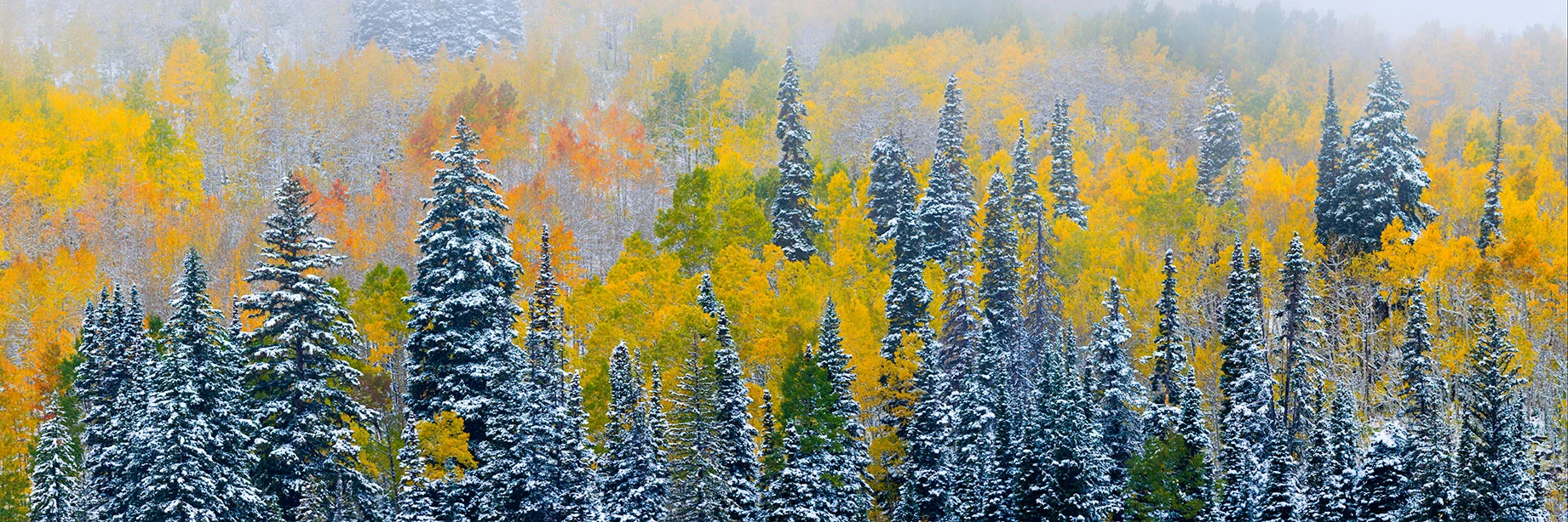 TransitionsSourceDSC_9396-Pano-2 webresize.jpg