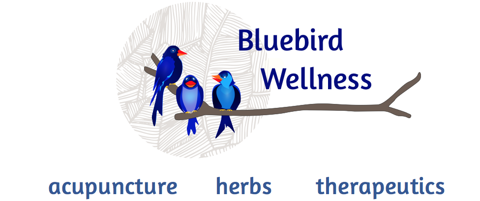 Bluebird Wellness