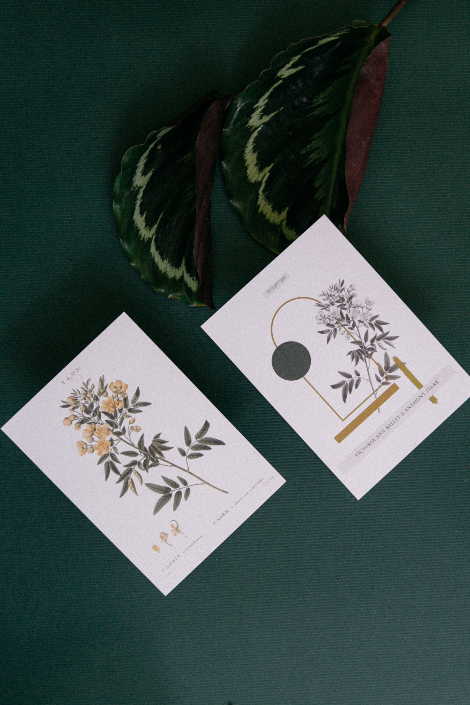 Vintage Botanical Meets Modern
