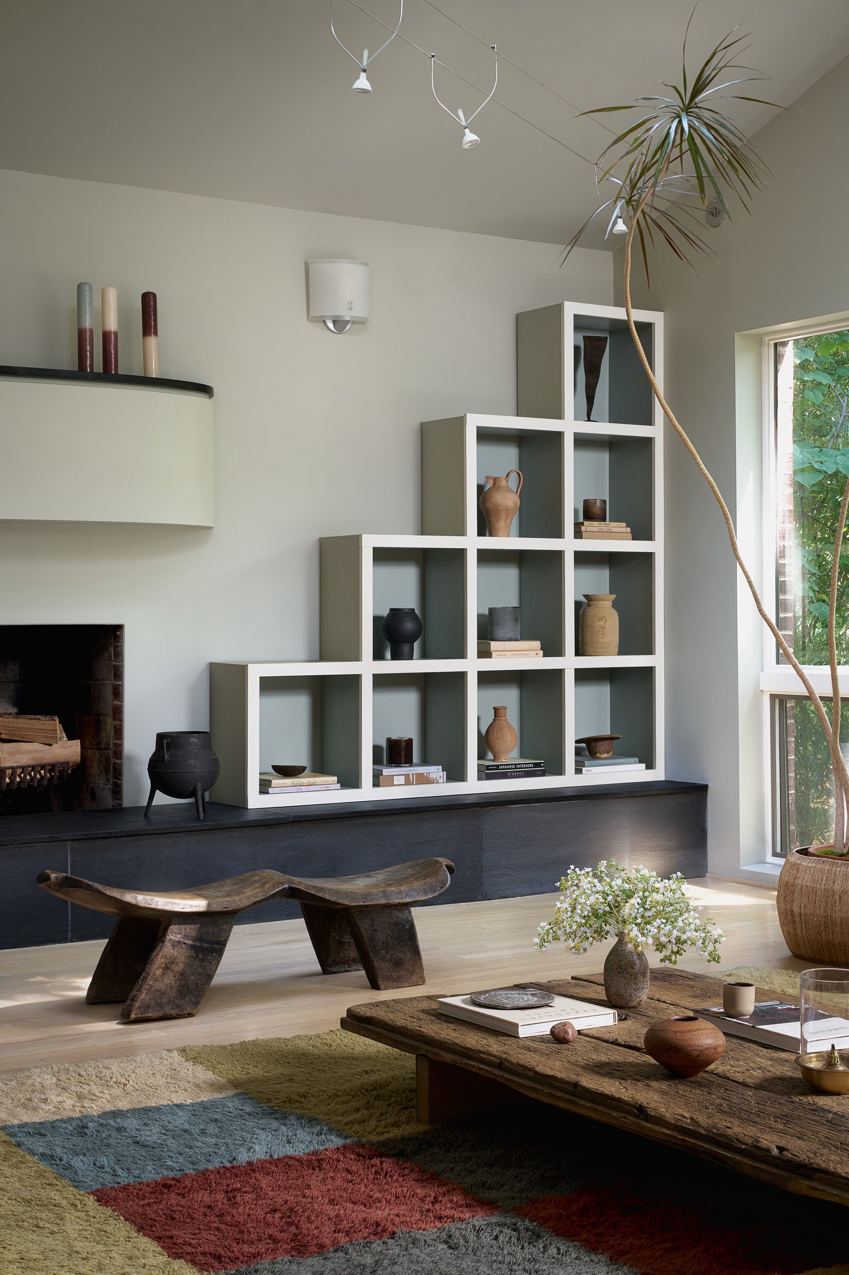 Living room with ladder shelving beside a fireplace, interior design photography in Washington, DC