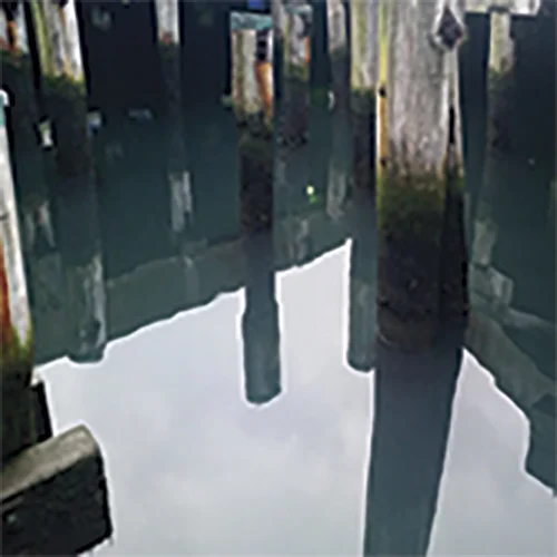 2_water-logged sample.jpg