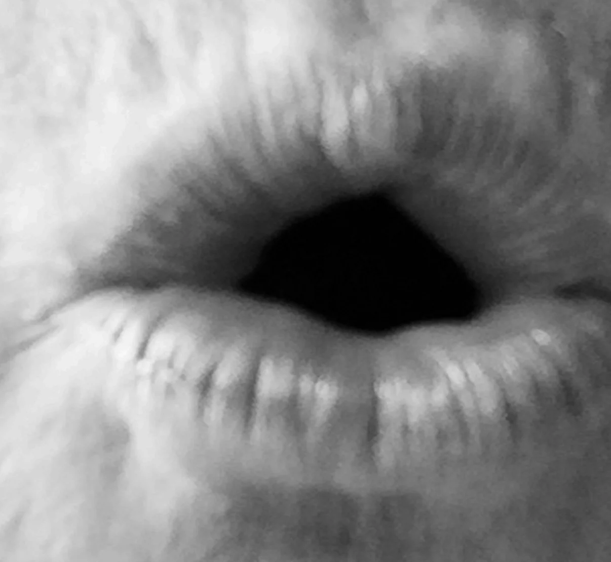 vital tones mouth.jpg