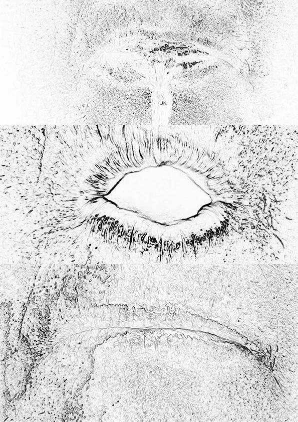 Figure 6 final thumbnail.jpg