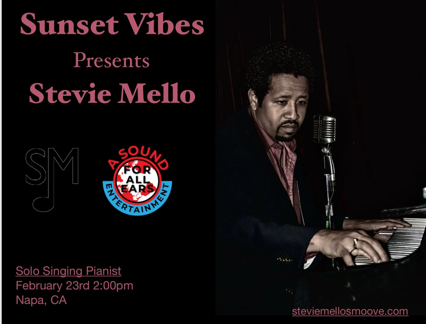 Stevie Mello @ Private Event