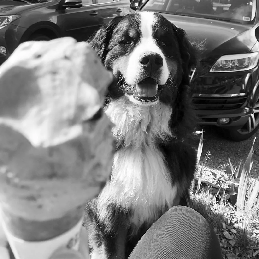 waffleicecream.jpg