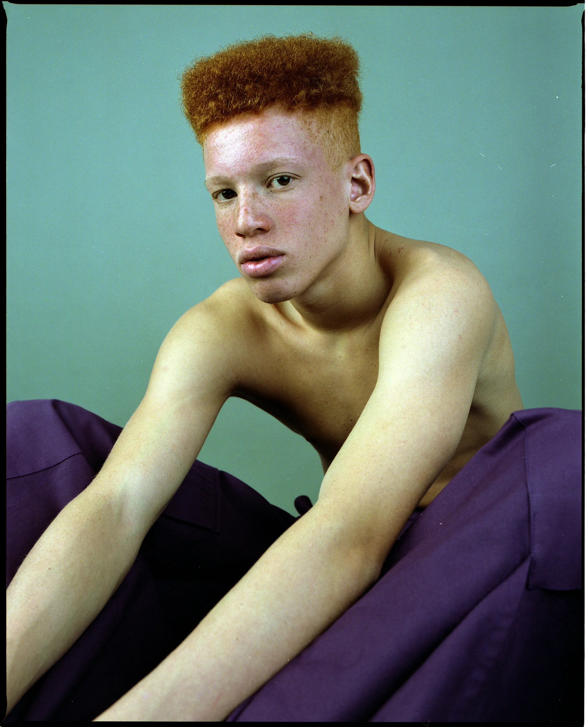 Theo MF Home003web.jpg