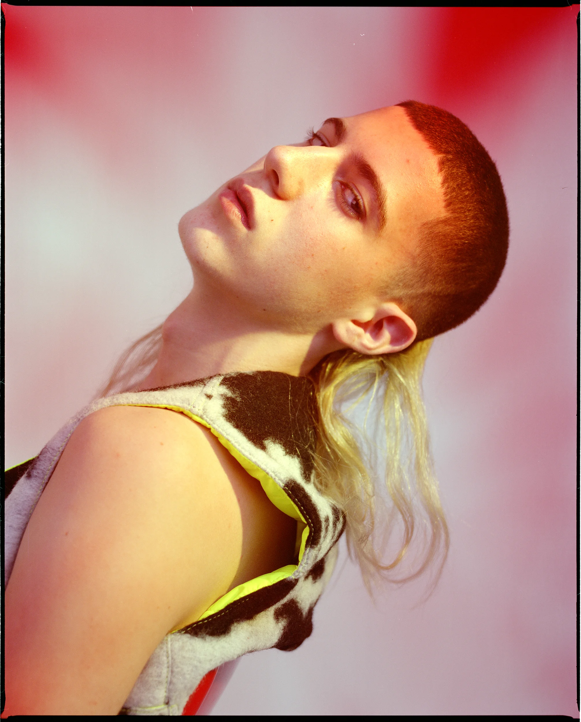 HMG Oloapitreps 002n.jpg