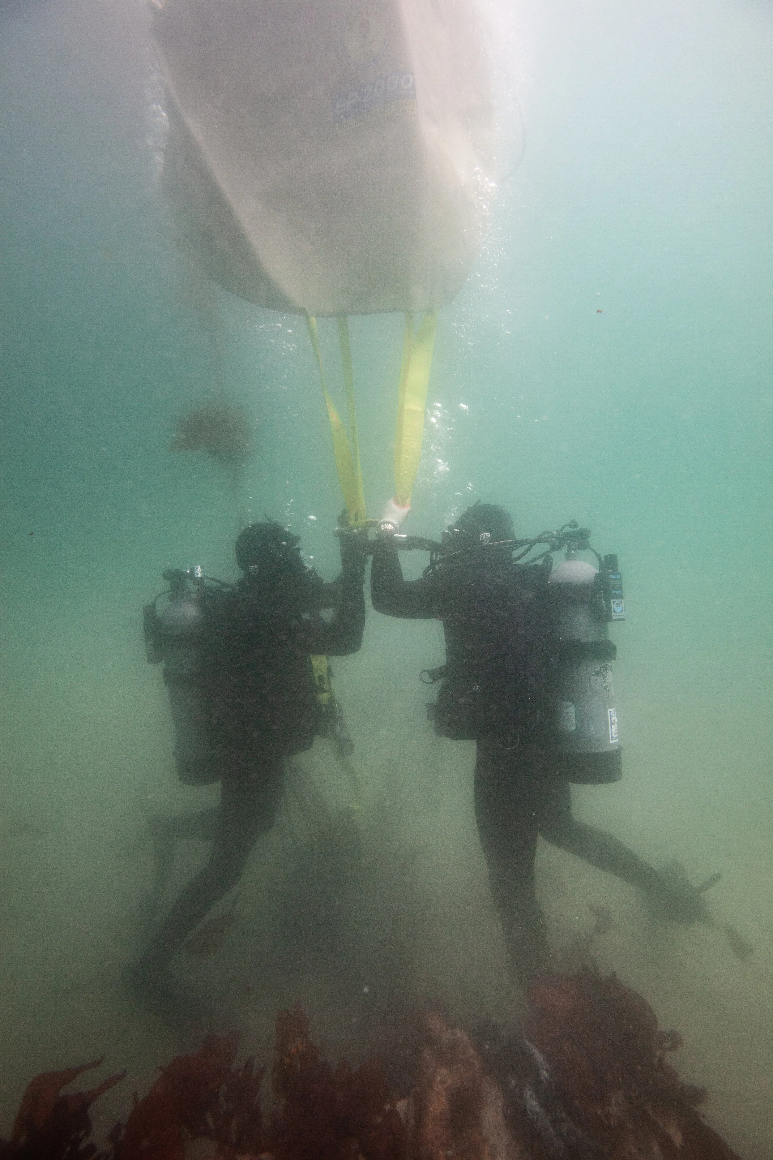 Diving Services — Orca Maritime