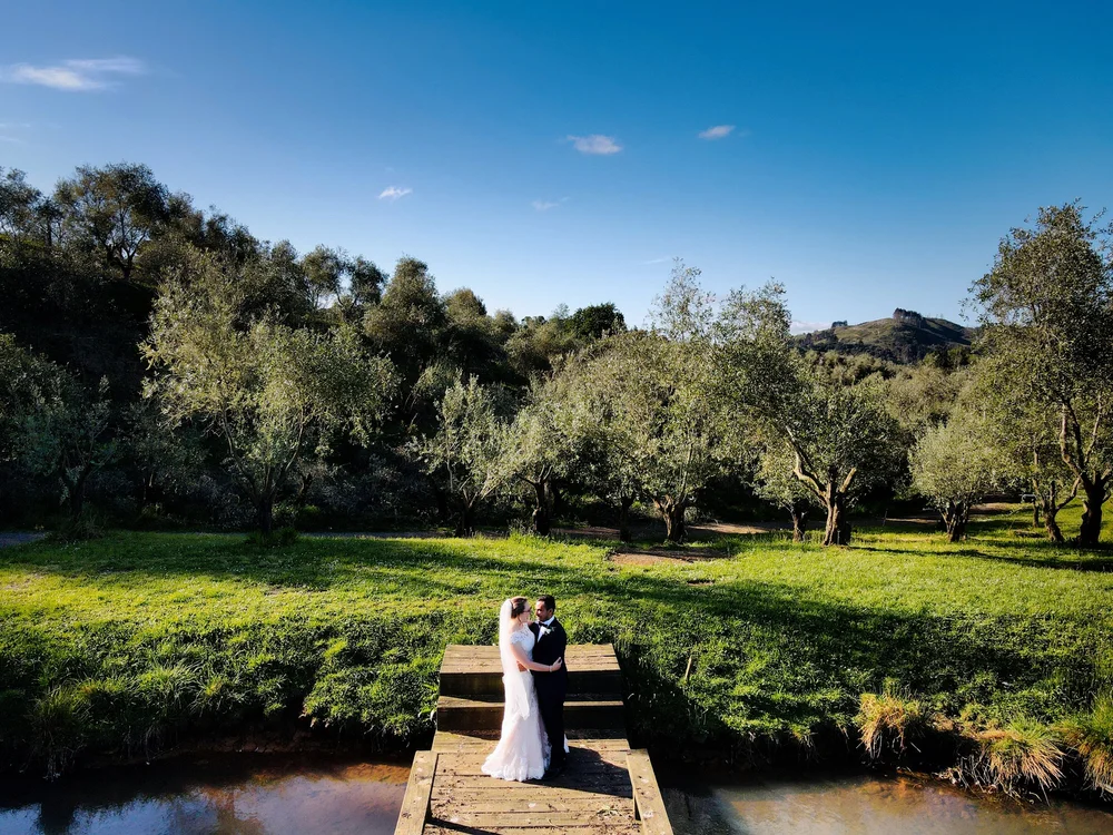 2020-10-24 1836.jpeg