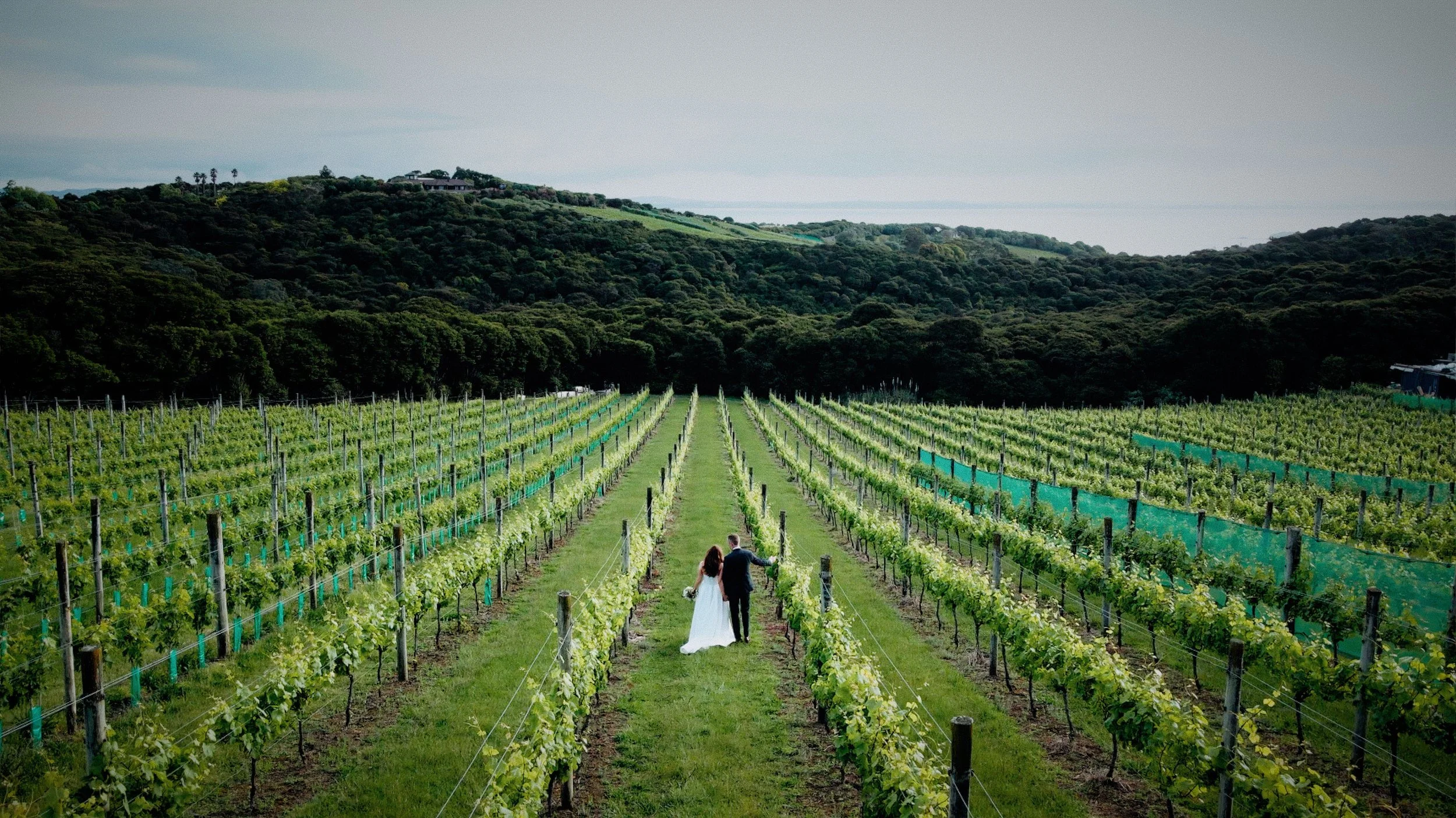 Peter &amp; Kelly | An epic wedding at Mudbrick Vineyard in Waiheke Island