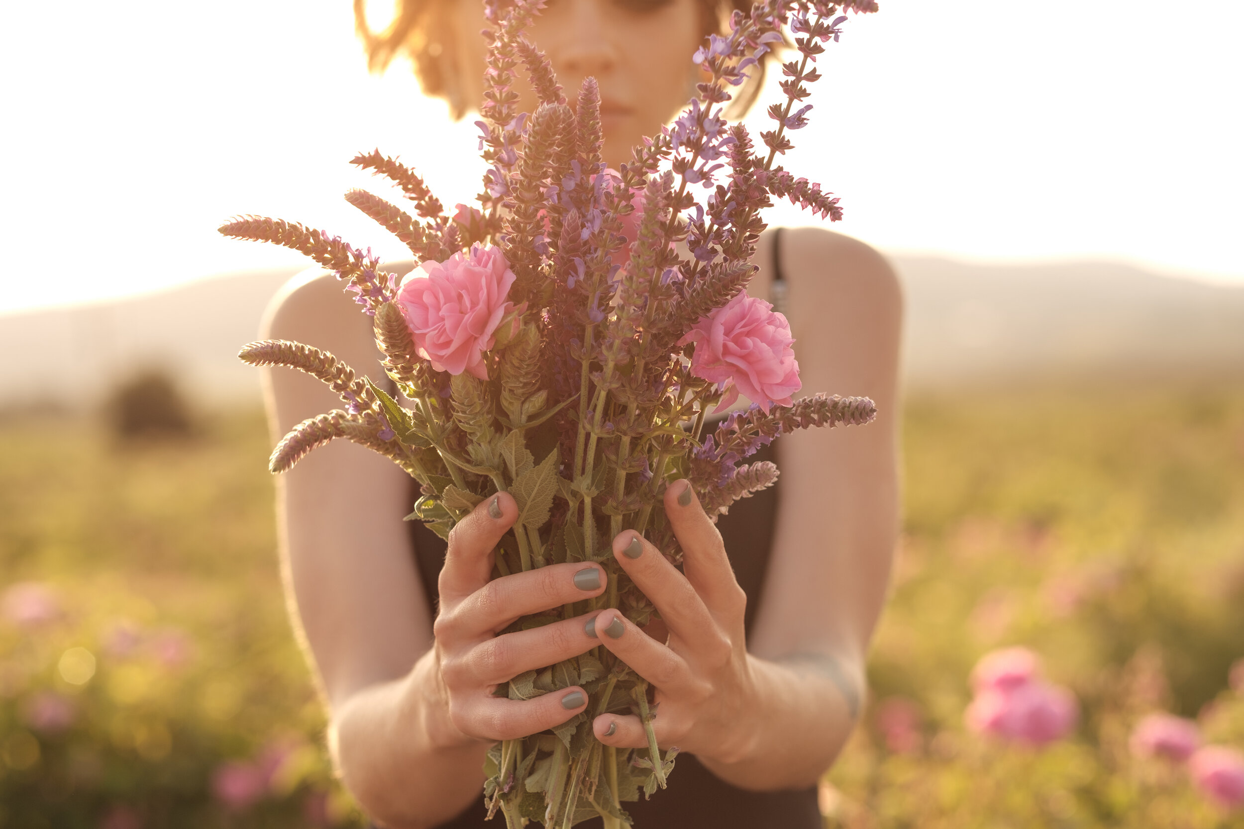 shutterstock_682016437.jpg