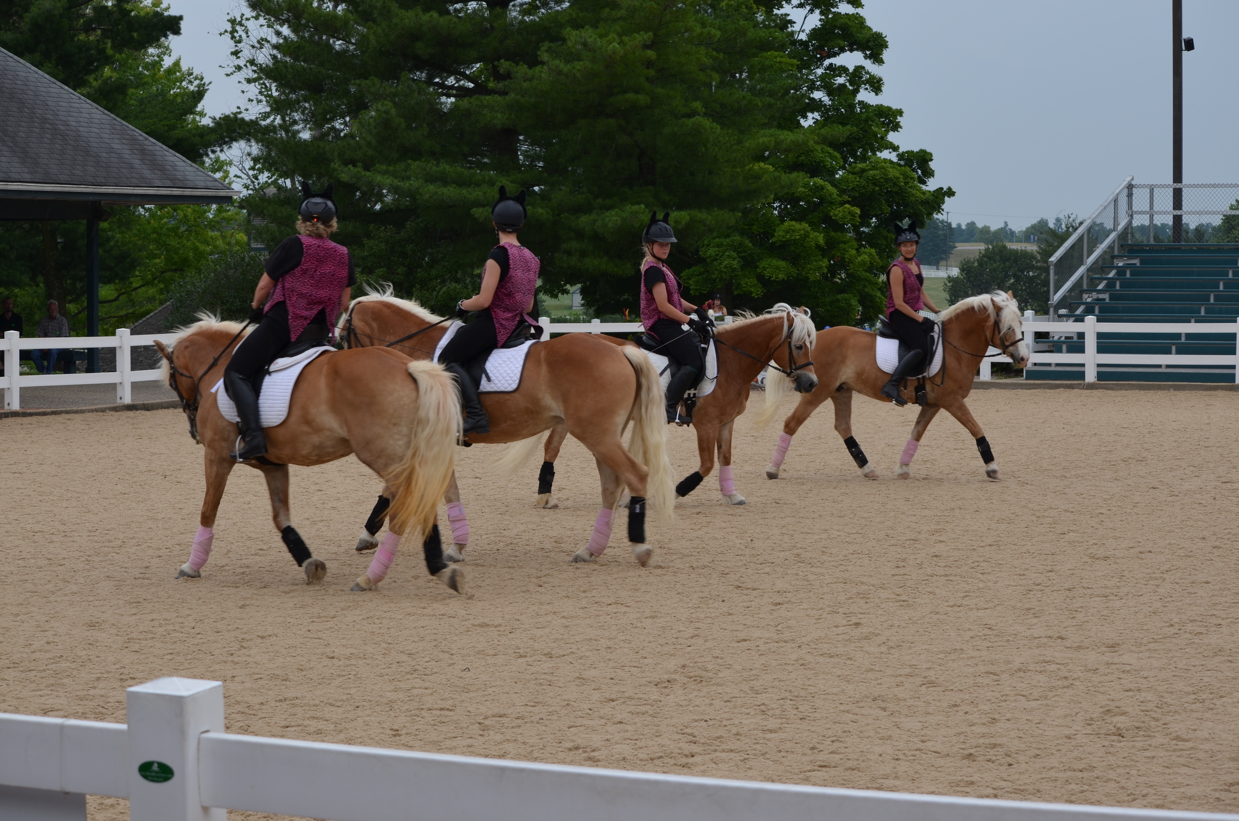 The Happy Haflingers quadrille performing at the Kentucky Horse Park