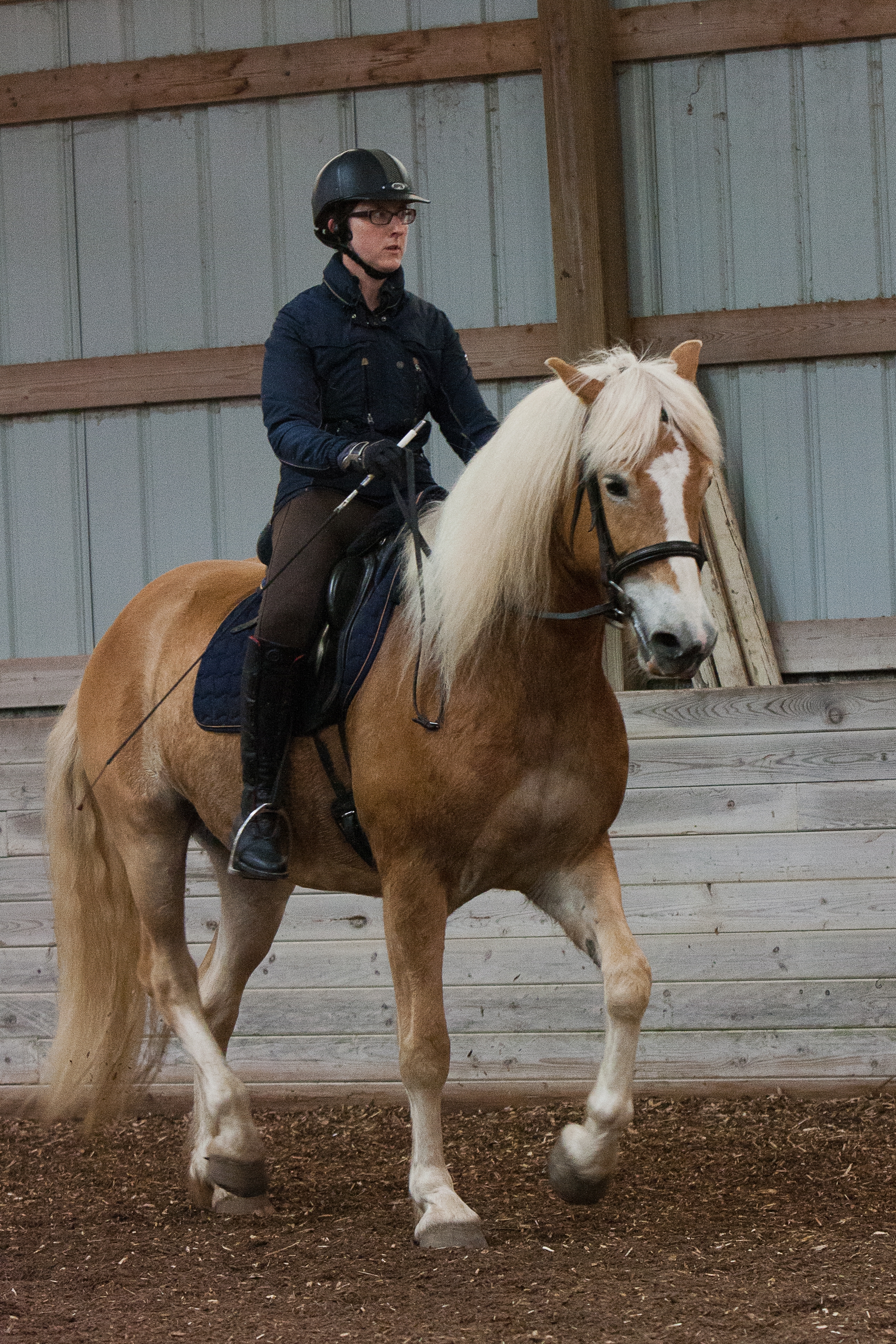 Anton IK schooling the piaffe in a clinic with Janet Foy