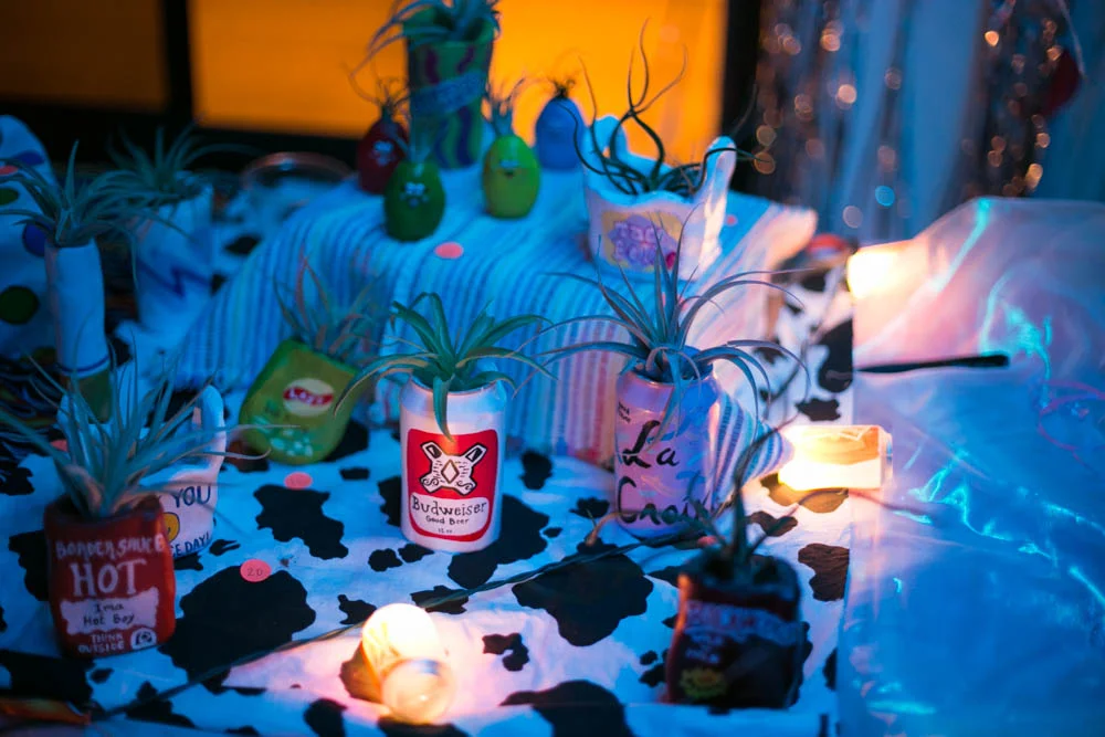 Hello Happy Plants, Photo by Liv Jonsè