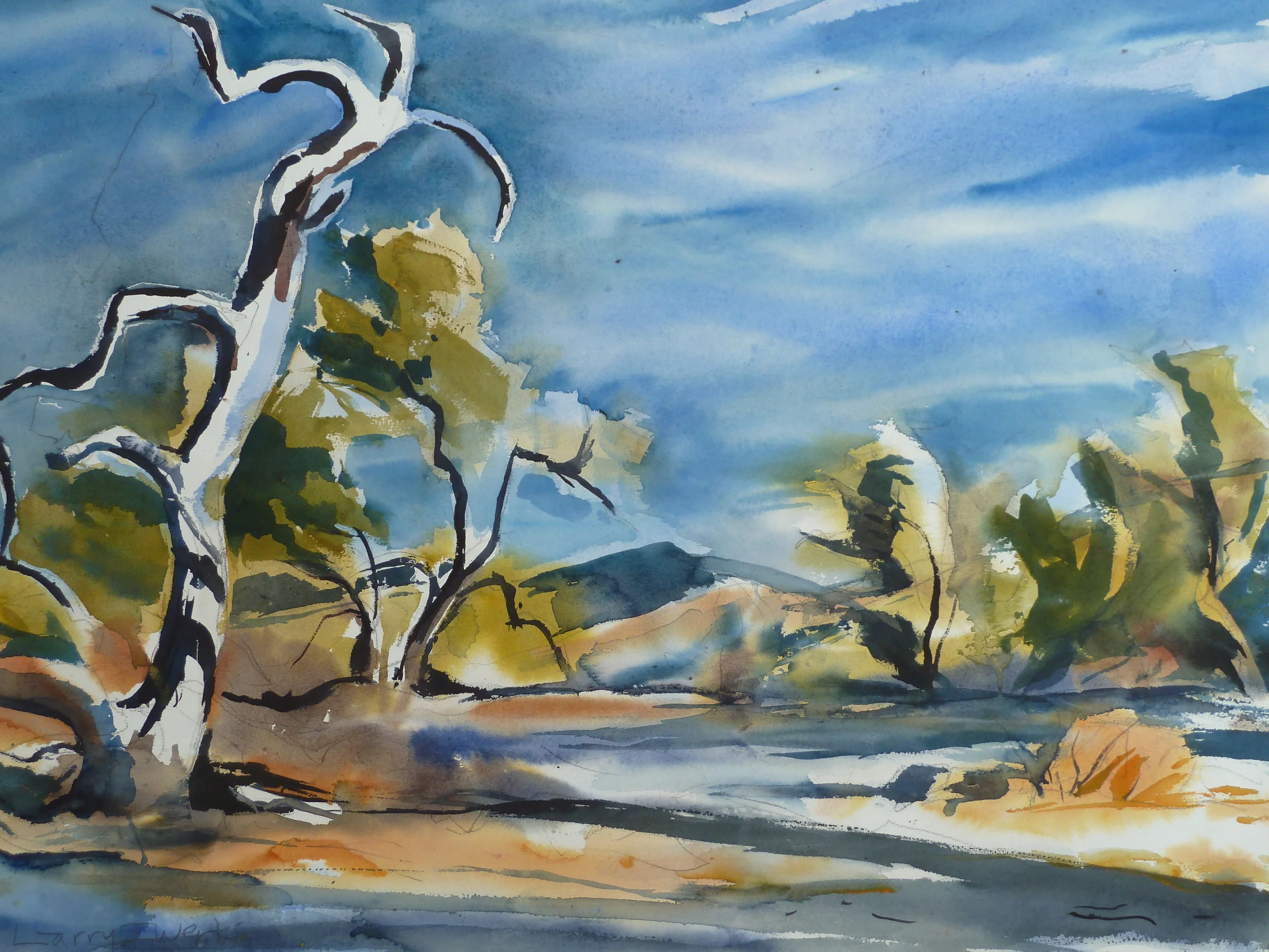 Sonoran Desert, 22 x 30"