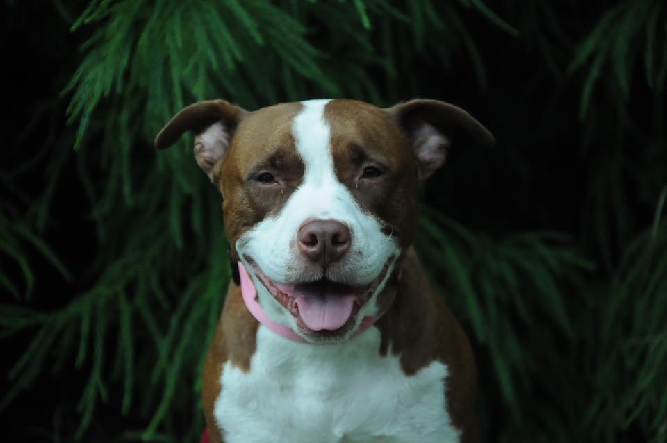 daisy6.jpg