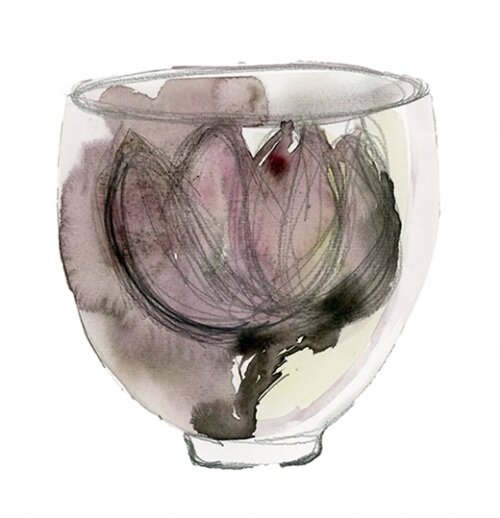 Lotus cup sketch