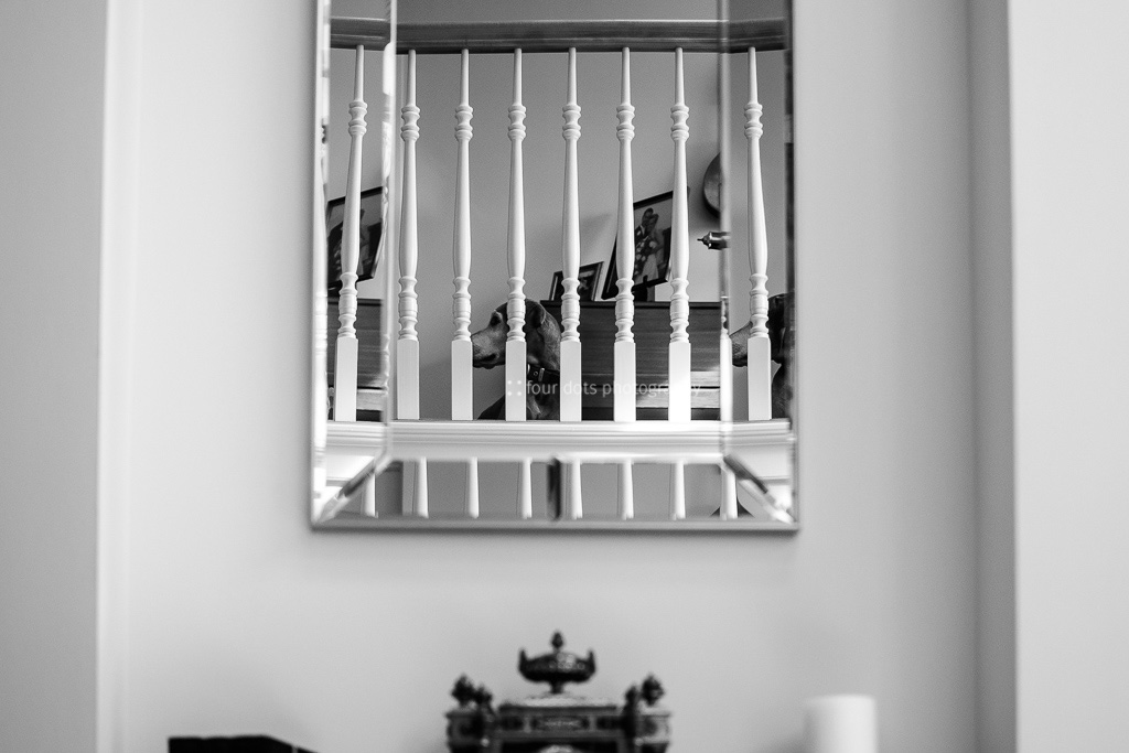 DSC_3251.jpg