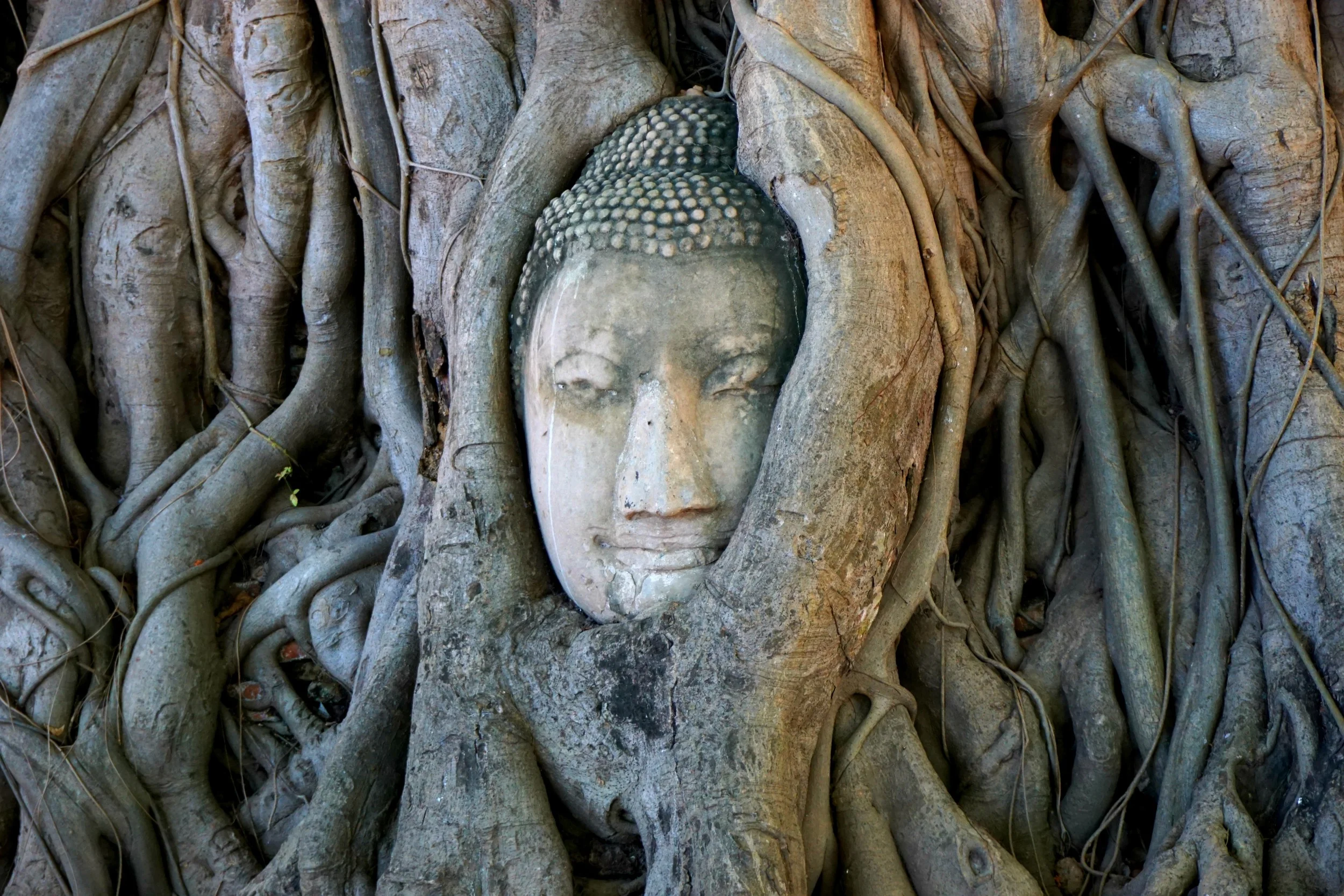 Bangkok! Day 4 - Ayutthaya