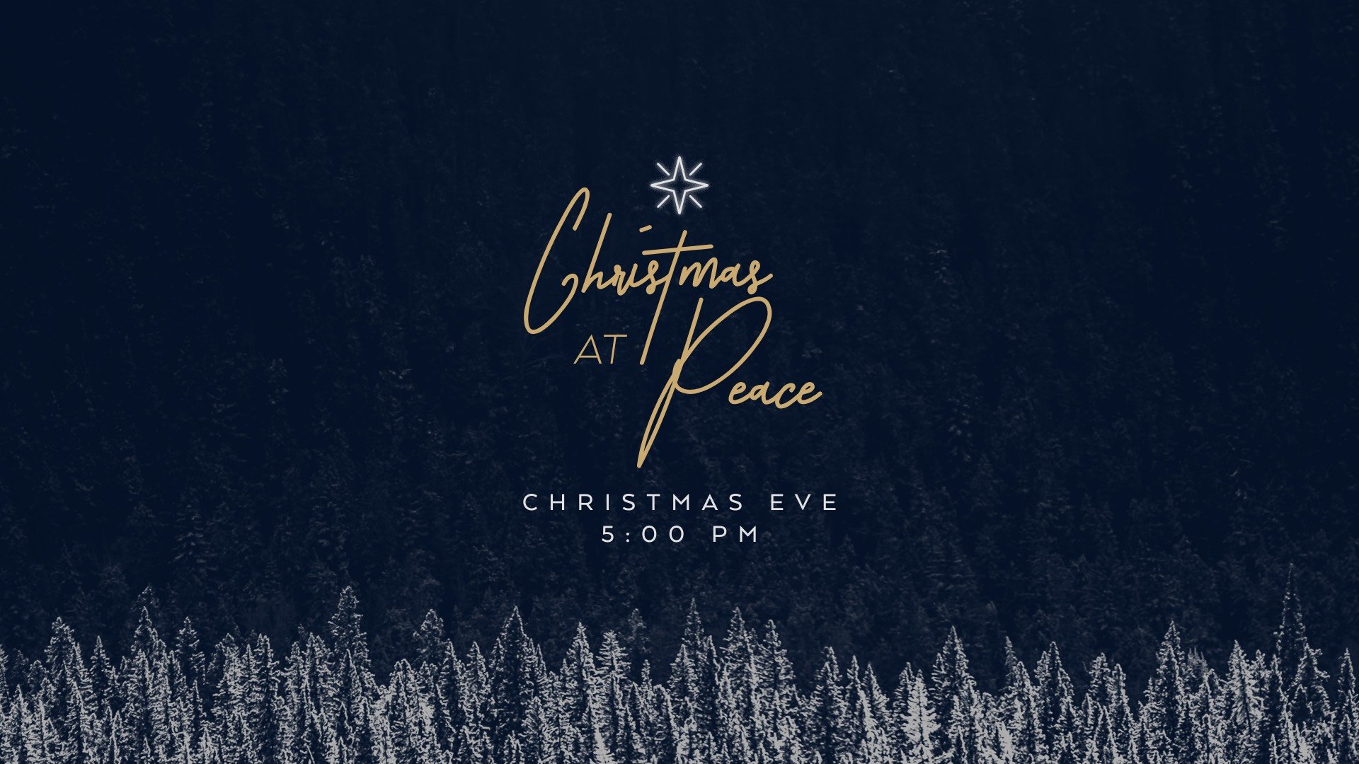 Christmas Web Banner.jpg