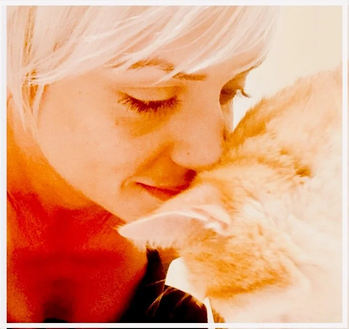 The Artists Cat Sticker Club Join For Cute Cat Stickers