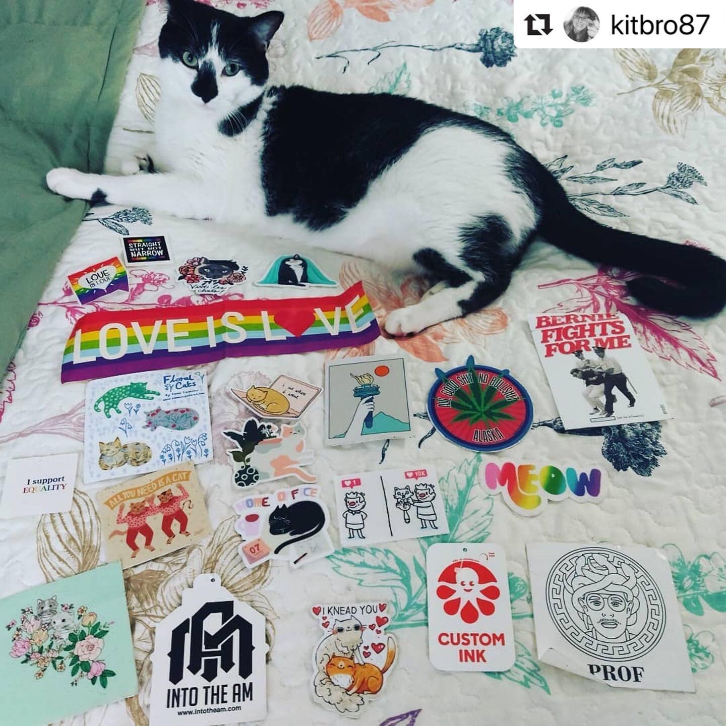 #Repost @kitbro87 with @make_repost
・・・
I panic too much to put my stickers on anything 😹 #ITAMFAM @intotheam @cat_sticker_club