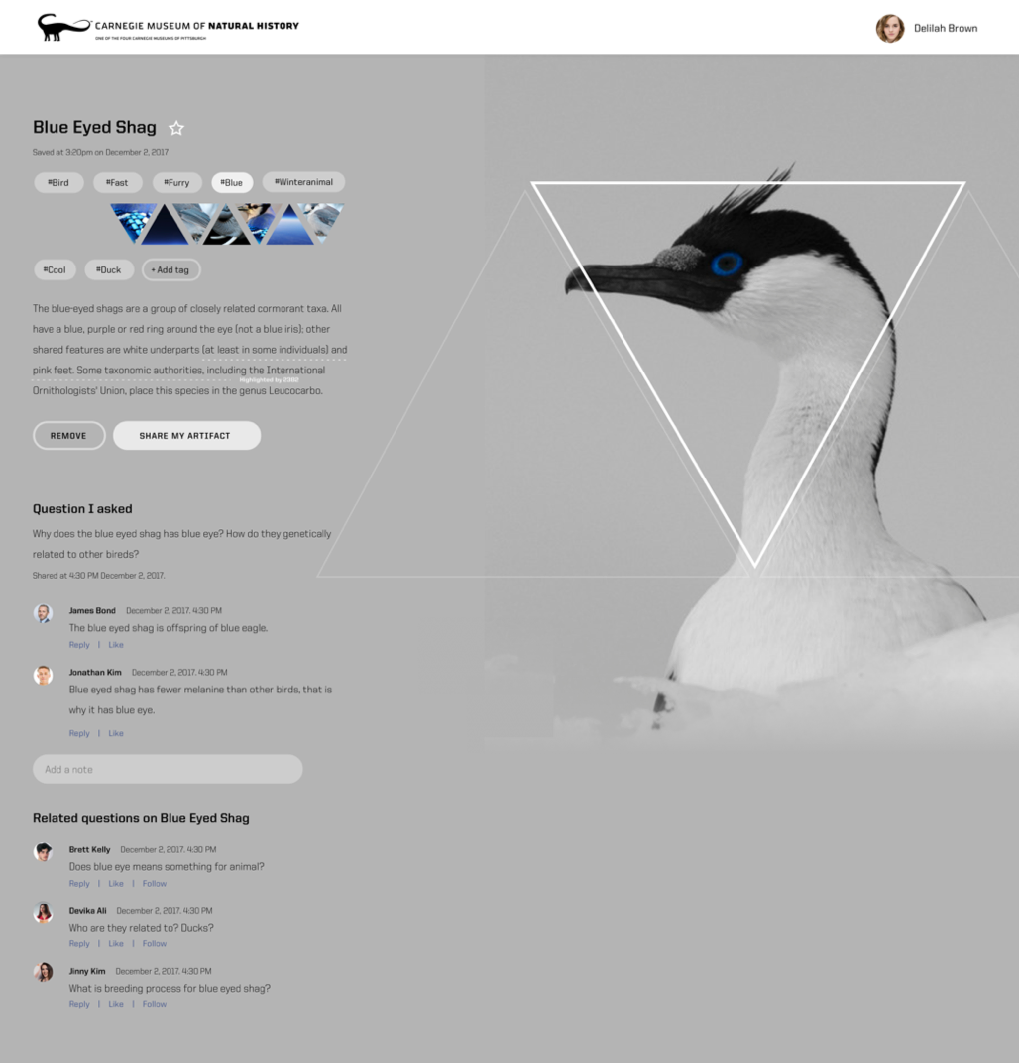 Aspen Final Website 2.png