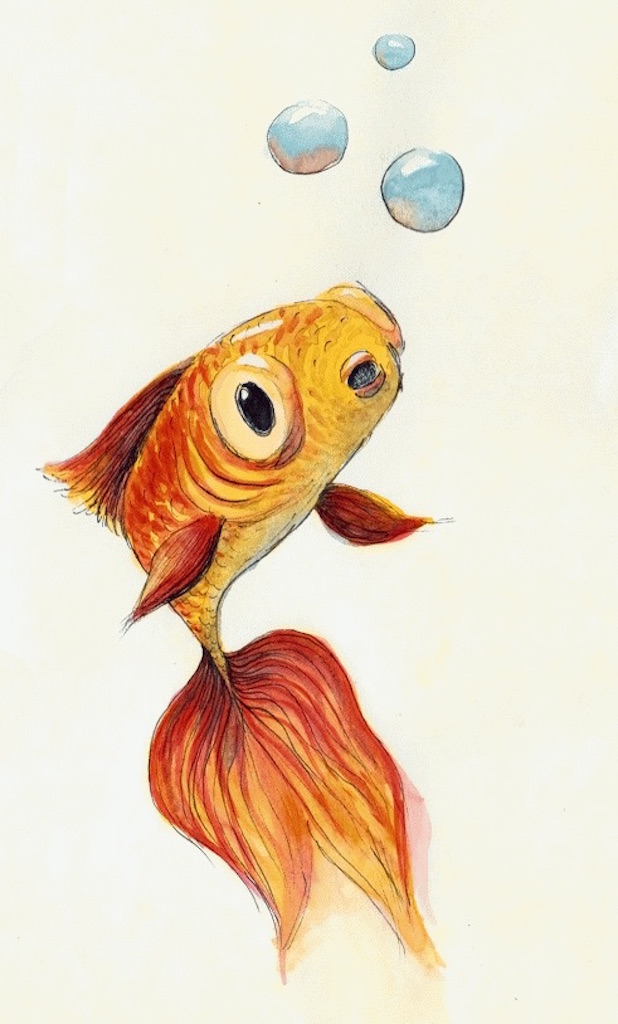 Goldfish