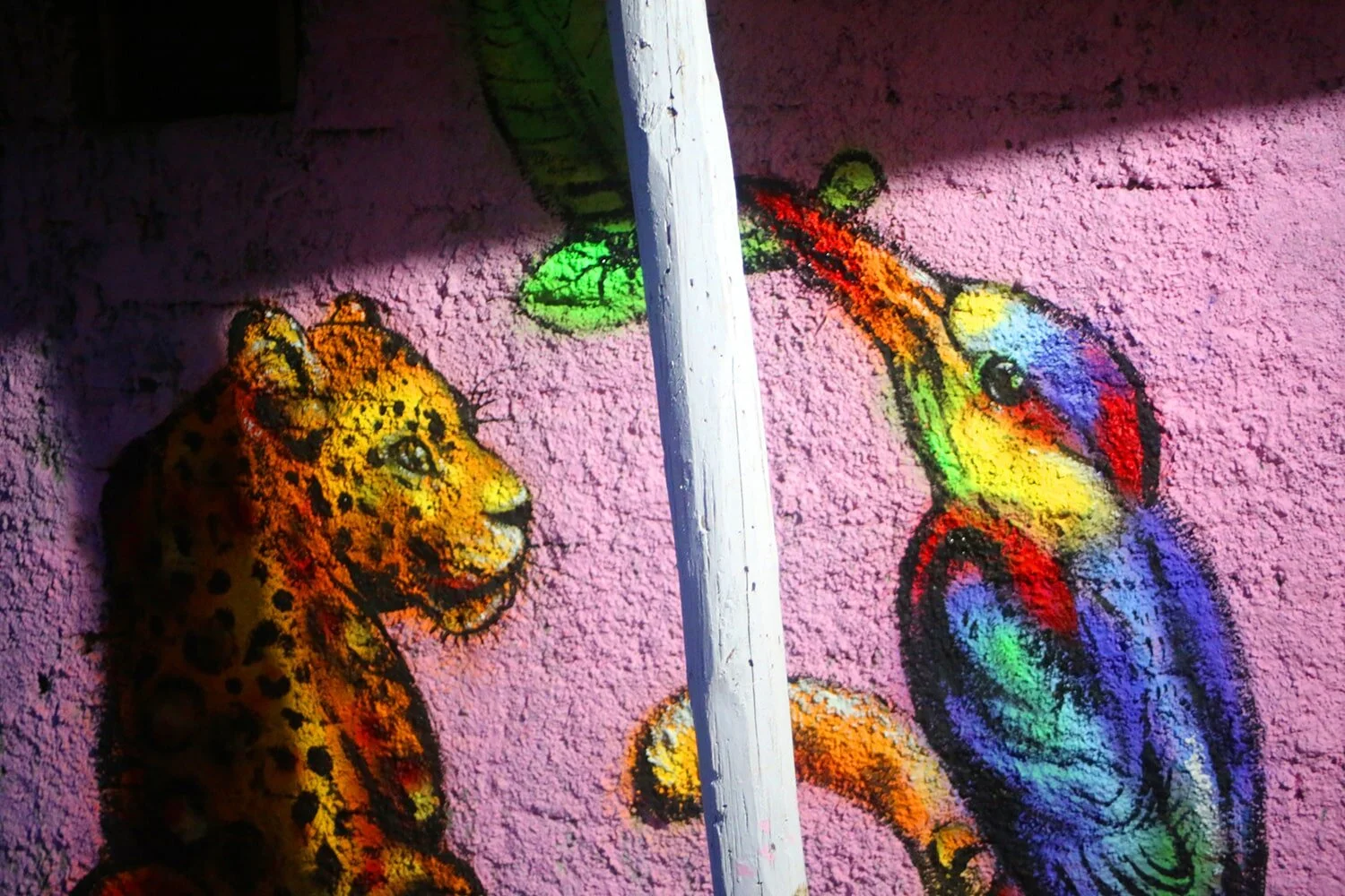 INDIGENOUS ANIMALS DETAIL