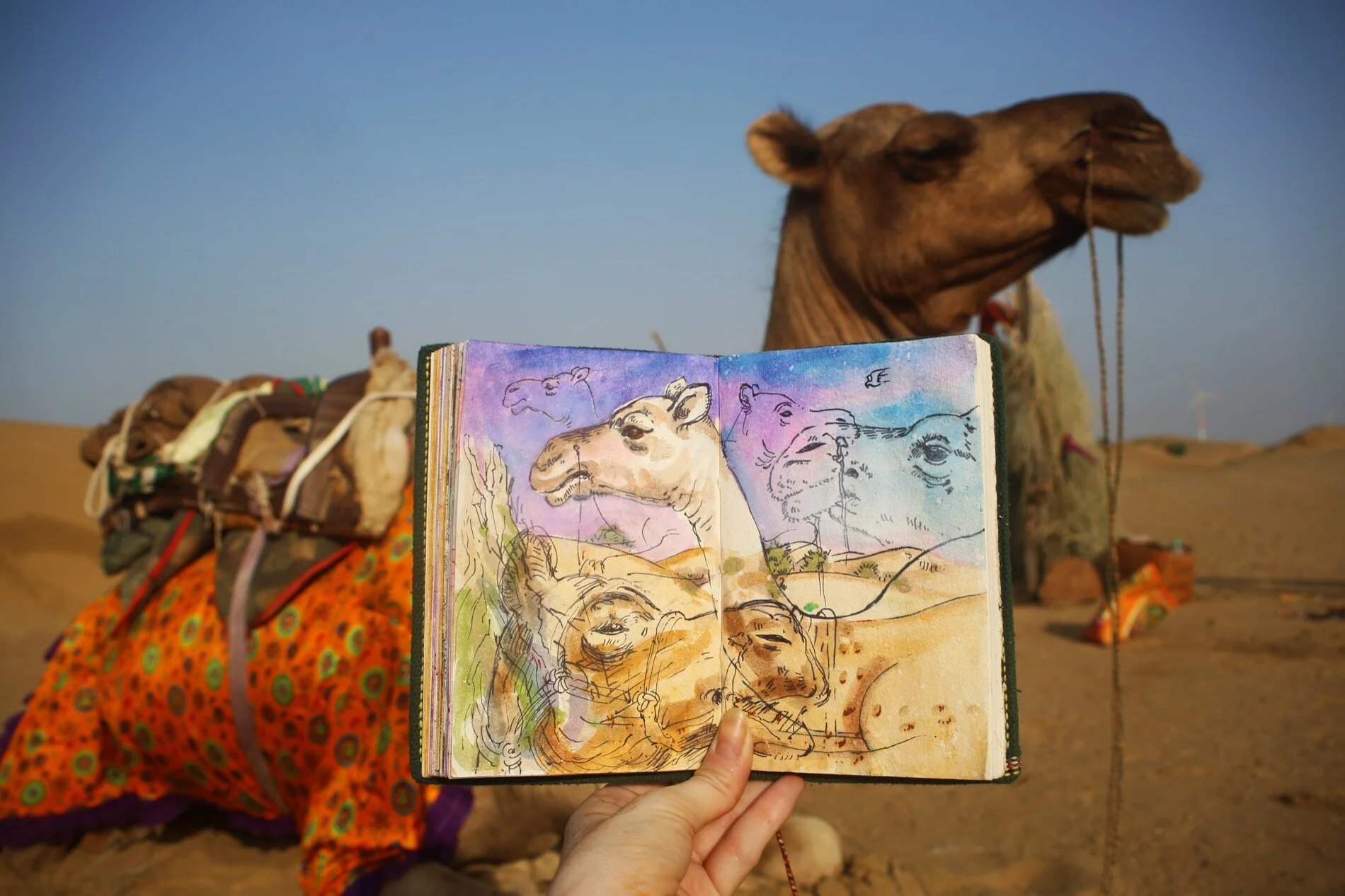 CAMELS
