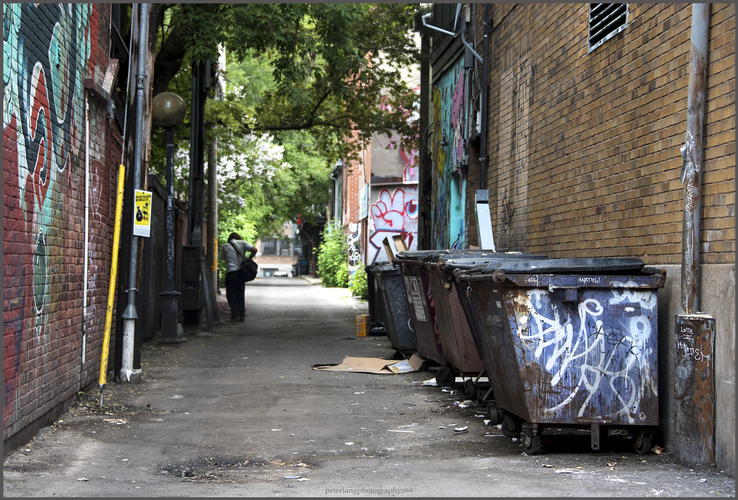 Laneway Bins