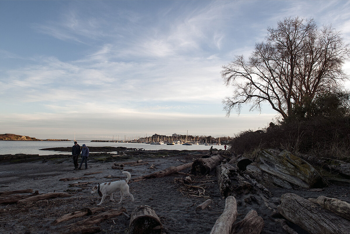willowsbeach2-web.jpg